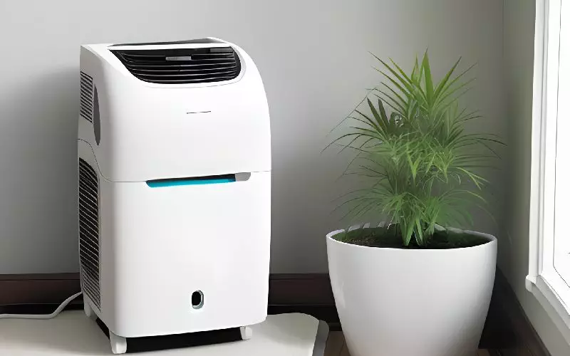 Top 7 Best Dehumidifiers In Australia 2024